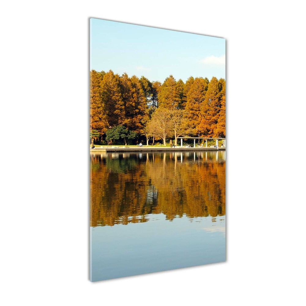 Tableau photo sur verre Parc en automne