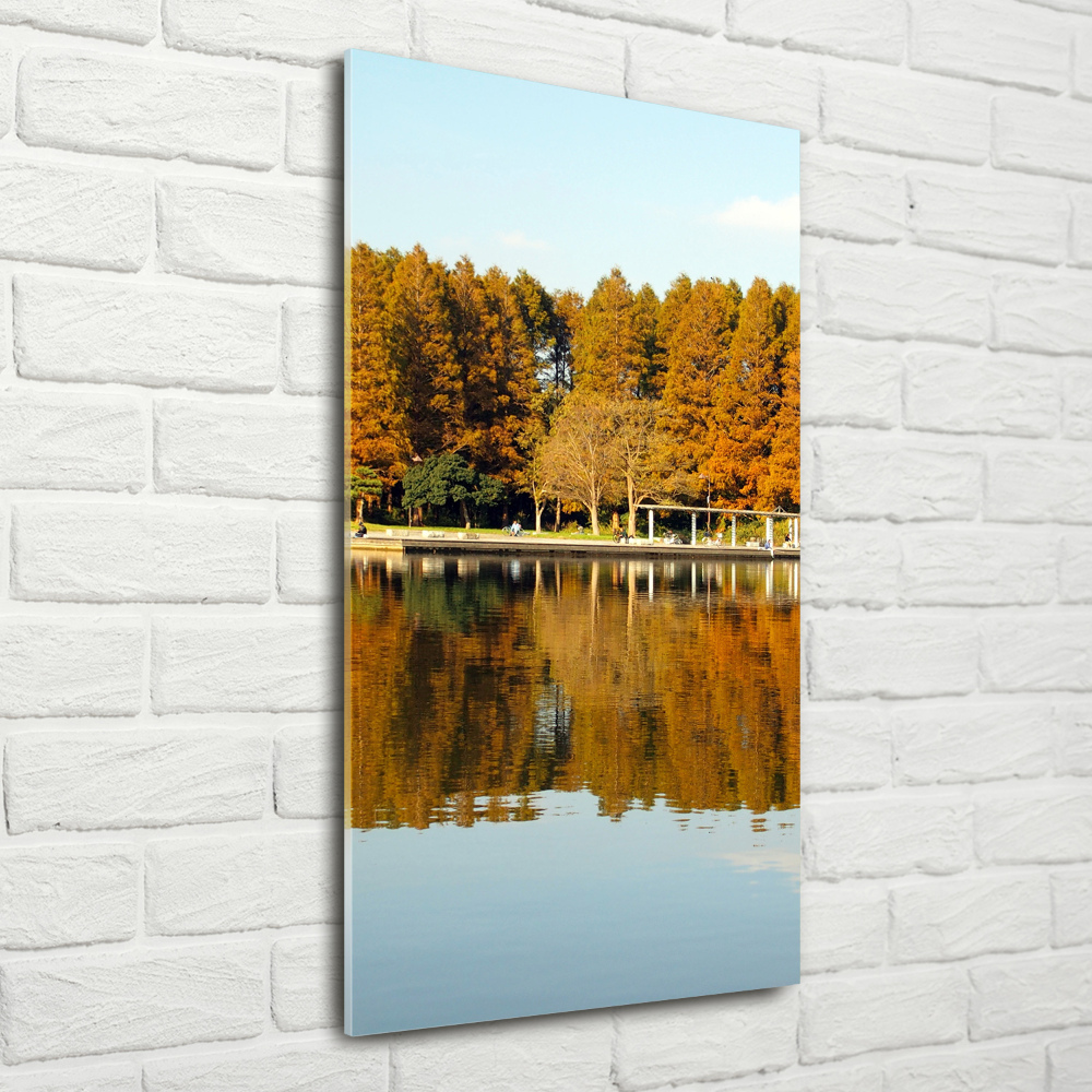 Tableau photo sur verre Parc en automne