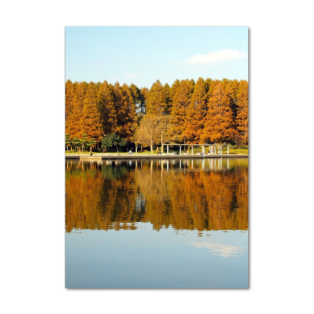 Tableau photo sur verre Parc en automne