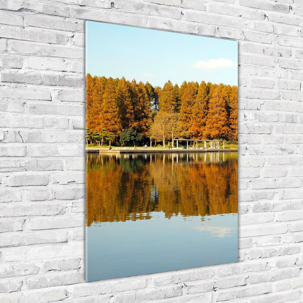 Tableau photo sur verre Parc en automne