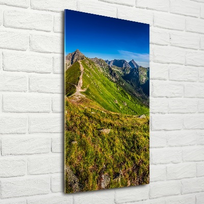 Tableau verre imprimé Montagnes des Tatras