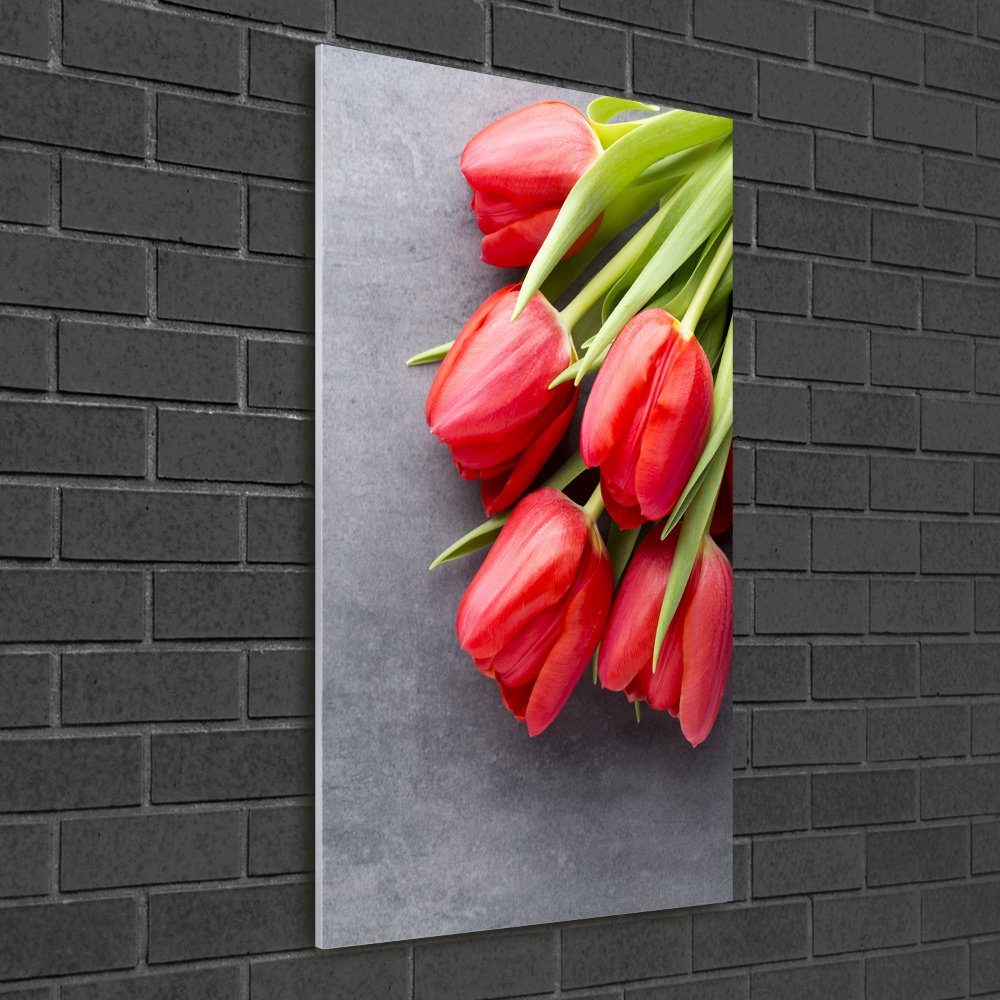 Tableau imprimé sur verre Tulipes rouges