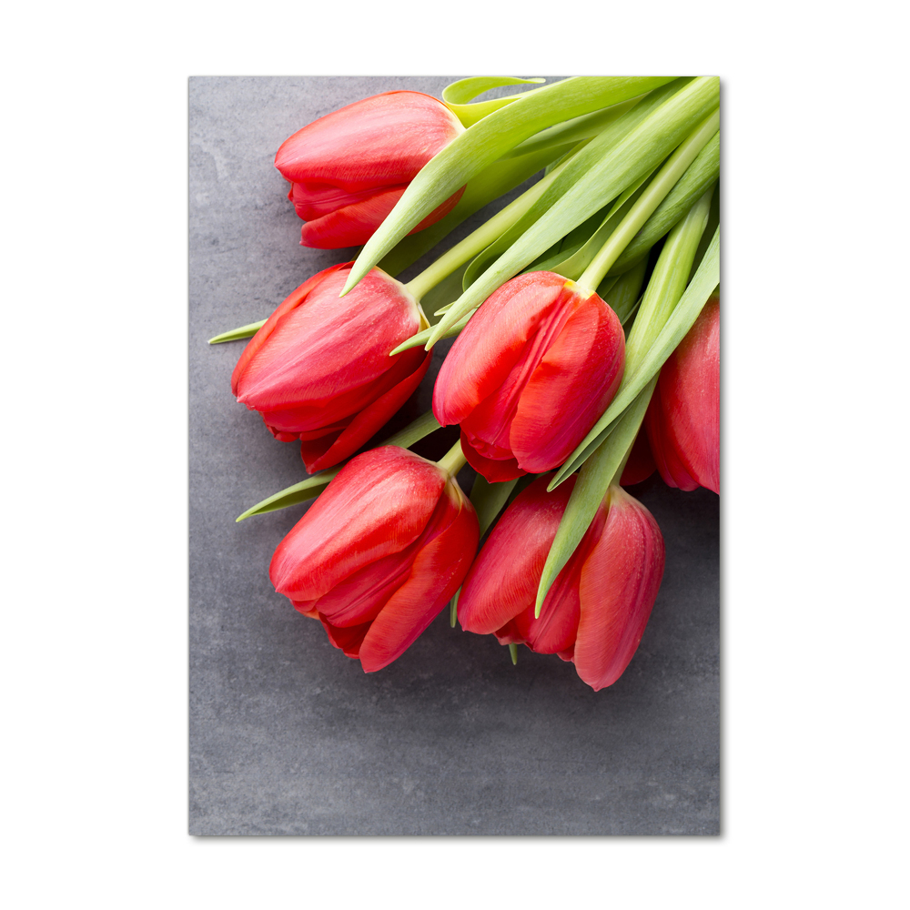 Tableau imprimé sur verre Tulipes rouges