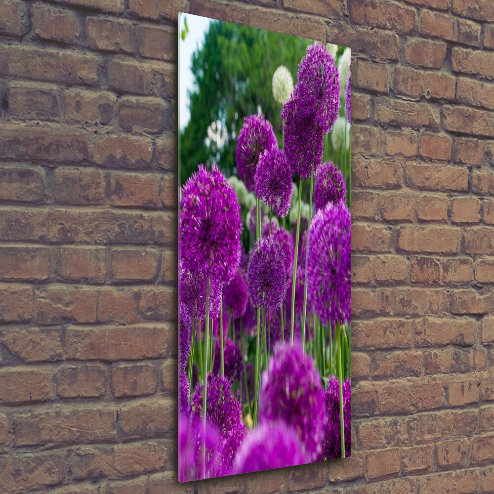 Tableau photo sur verre Fleurs d'ail