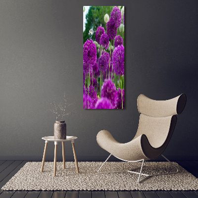 Tableau photo sur verre Fleurs d'ail