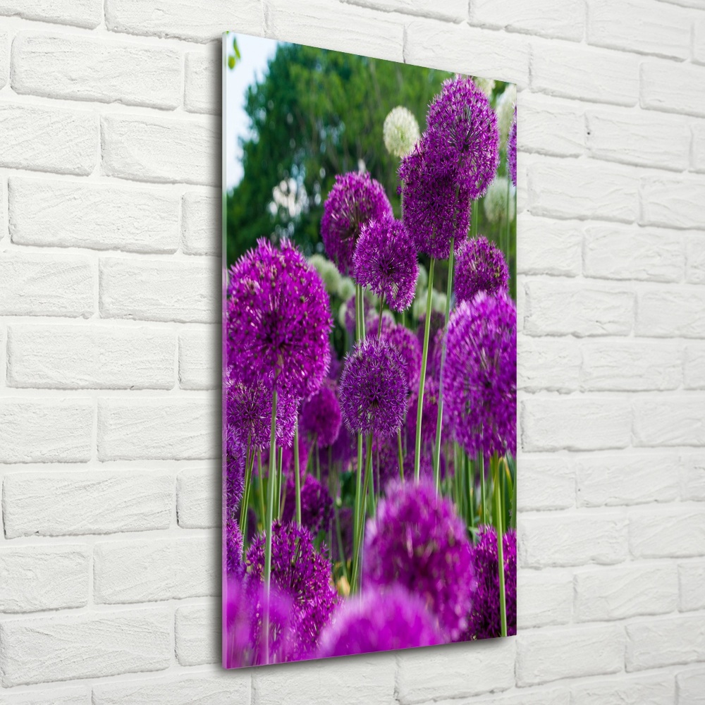 Tableau photo sur verre Fleurs d'ail