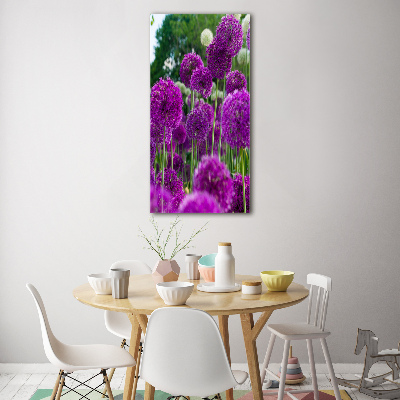 Tableau photo sur verre Fleurs d'ail