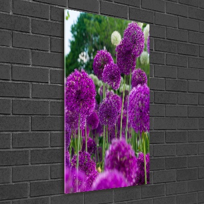 Tableau photo sur verre Fleurs d'ail