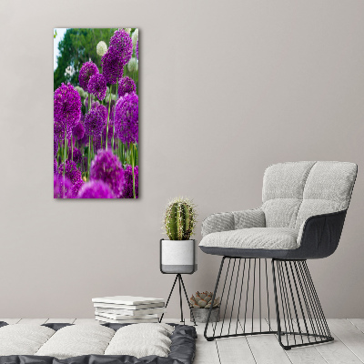 Tableau photo sur verre Fleurs d'ail