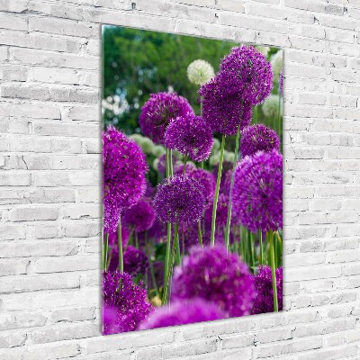 Tableau photo sur verre Fleurs d'ail