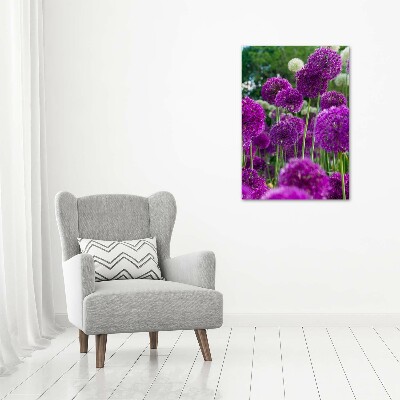 Tableau photo sur verre Fleurs d'ail