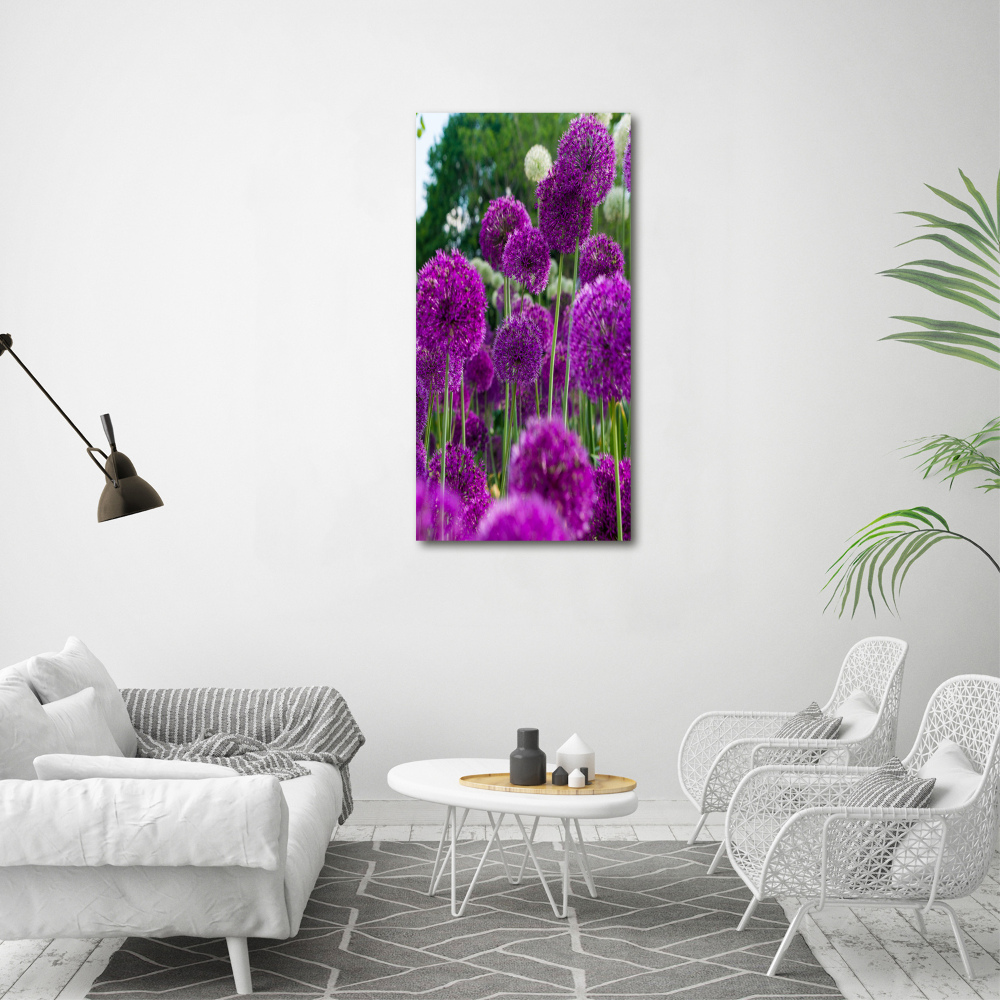 Tableau photo sur verre Fleurs d'ail