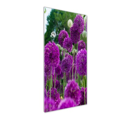 Tableau photo sur verre Fleurs d'ail