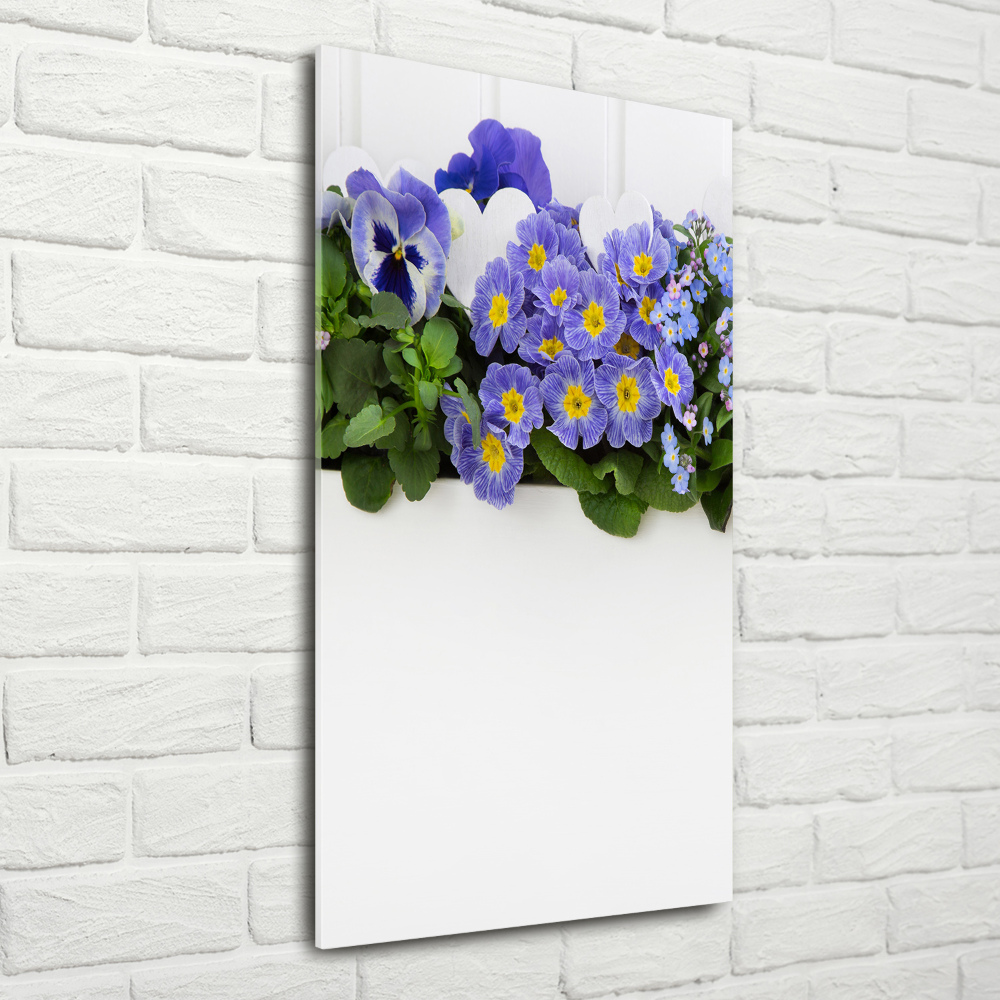 Tableau photo sur verre Fleurs violettes