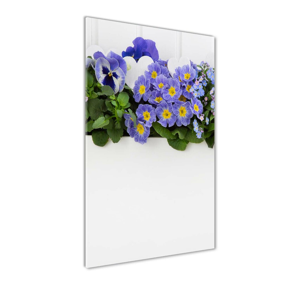 Tableau photo sur verre Fleurs violettes