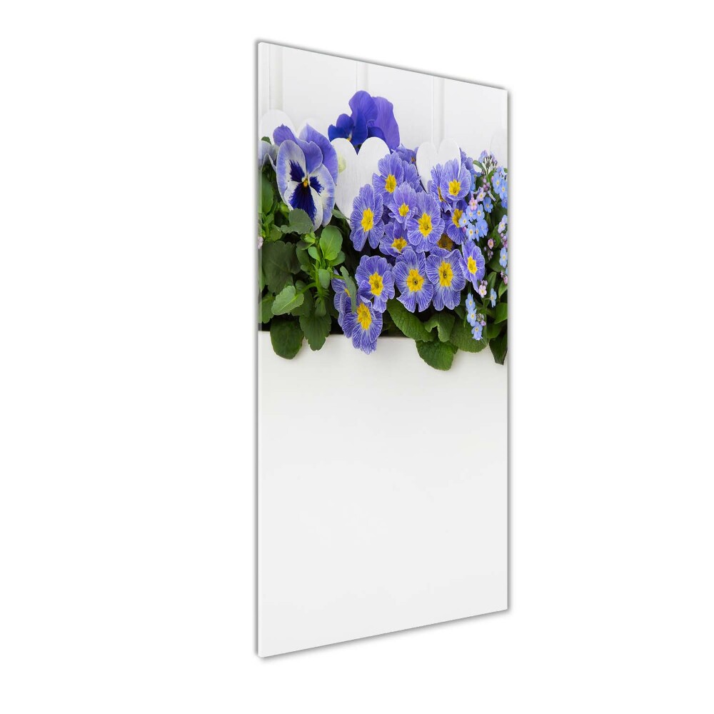 Tableau photo sur verre Fleurs violettes