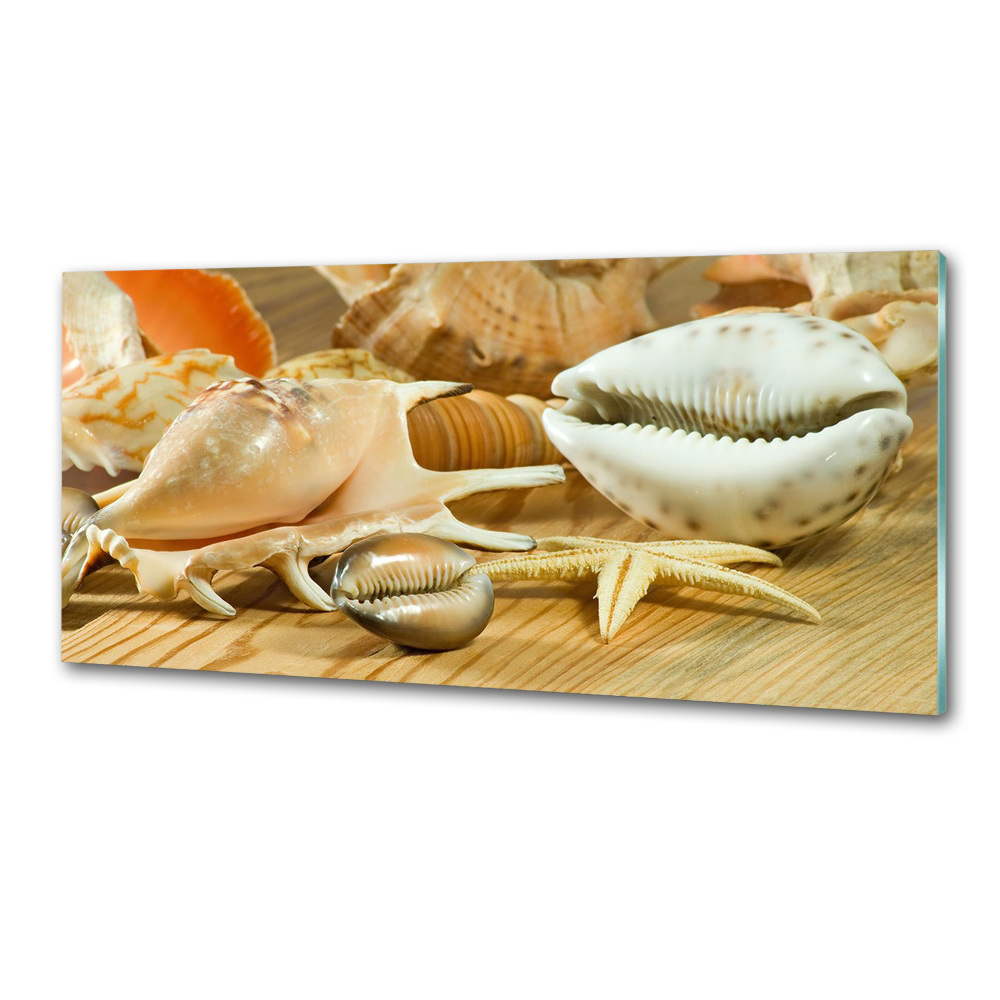 Crédence de cuisine Coquillages sur bois