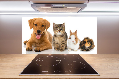 Panneau pour cuisine Chien et chat