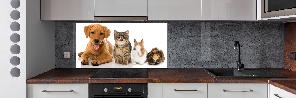 Panneau pour cuisine Chien et chat