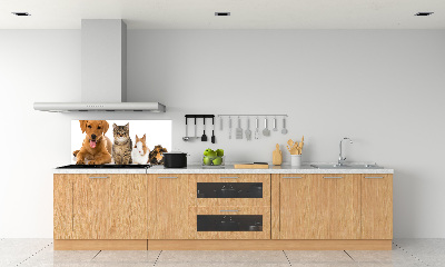 Panneau pour cuisine Chien et chat