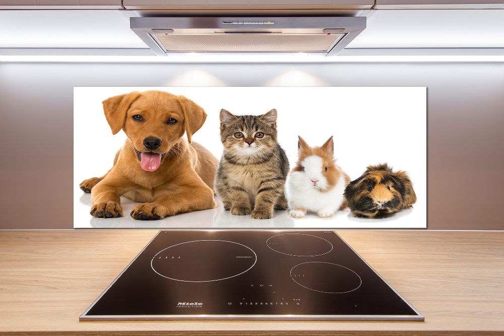 Panneau pour cuisine Chien et chat