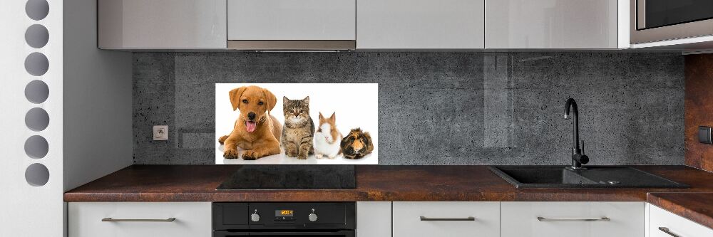 Panneau pour cuisine Chien et chat