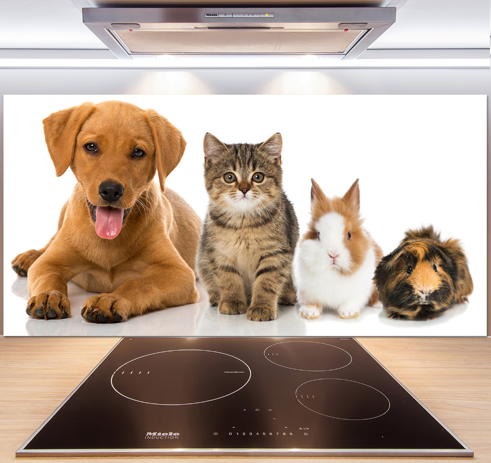 Panneau pour cuisine Chien et chat