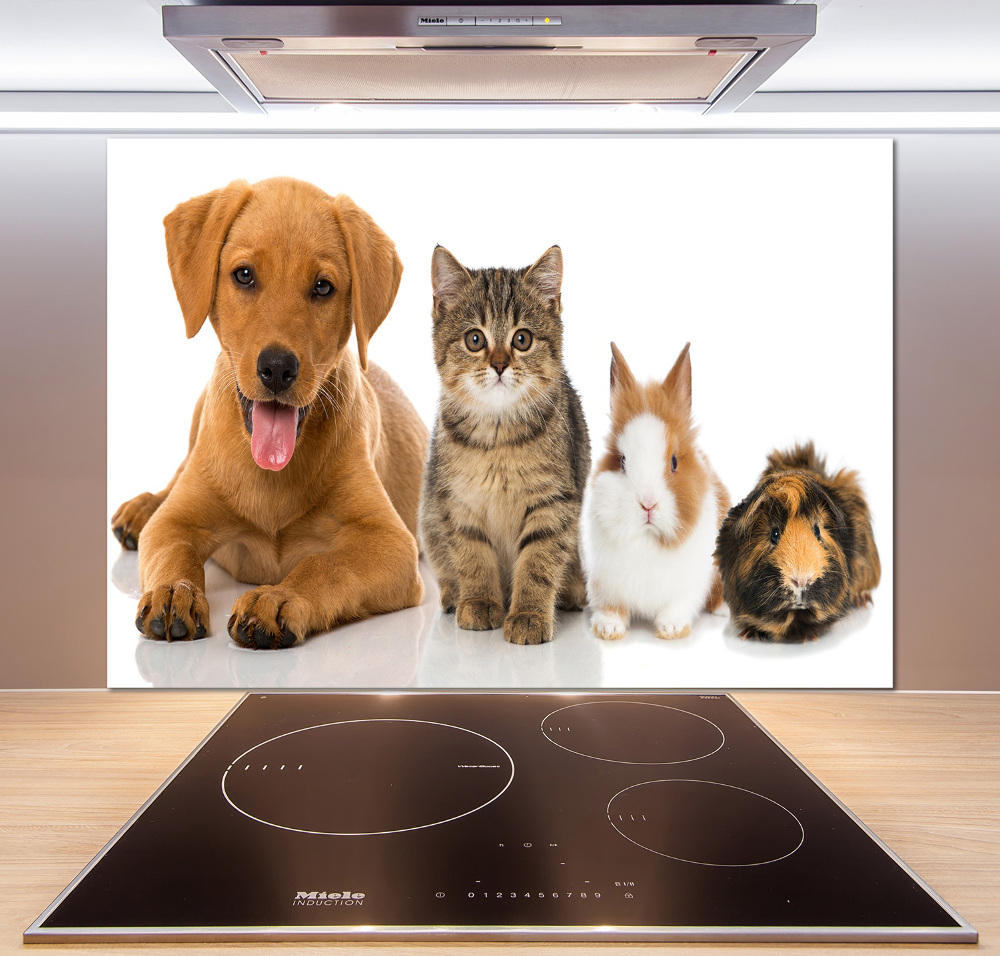 Panneau pour cuisine Chien et chat