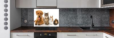 Panneau pour cuisine Chien et chat