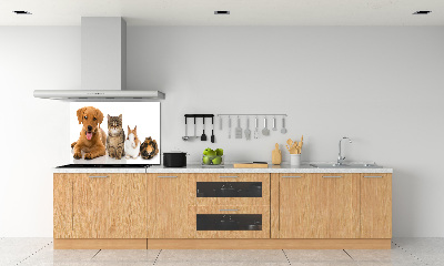 Panneau pour cuisine Chien et chat