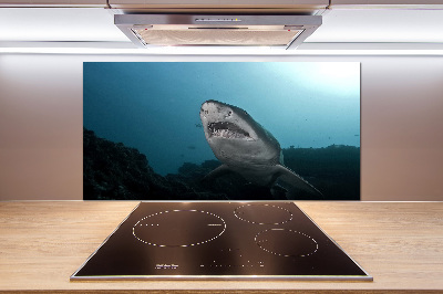 Crédence en verre cuisine Grand requin