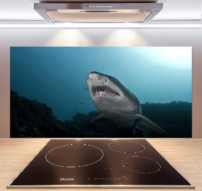 Crédence en verre cuisine Grand requin