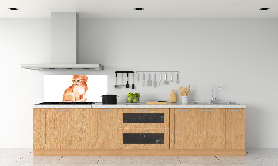 Verre pour crédence Chat rouge