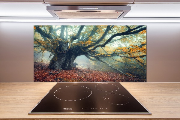 Verre pour crédence Vieil arbre