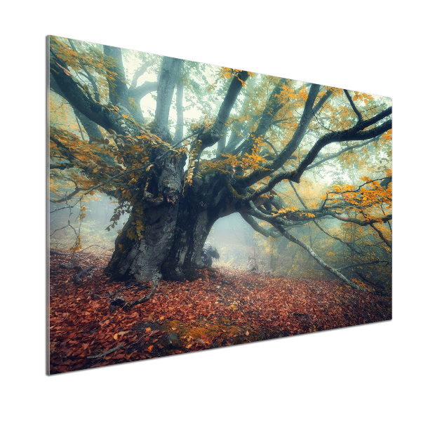 Verre pour crédence Vieil arbre