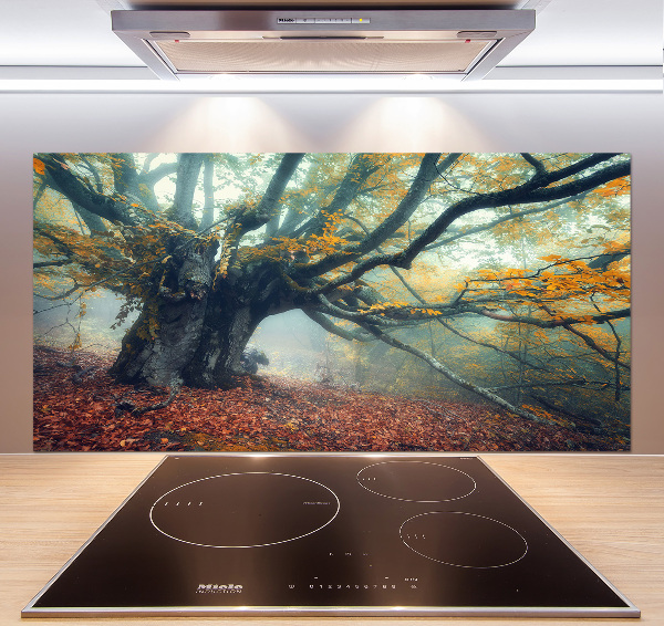 Verre pour crédence Vieil arbre