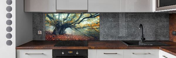 Verre pour crédence Vieil arbre