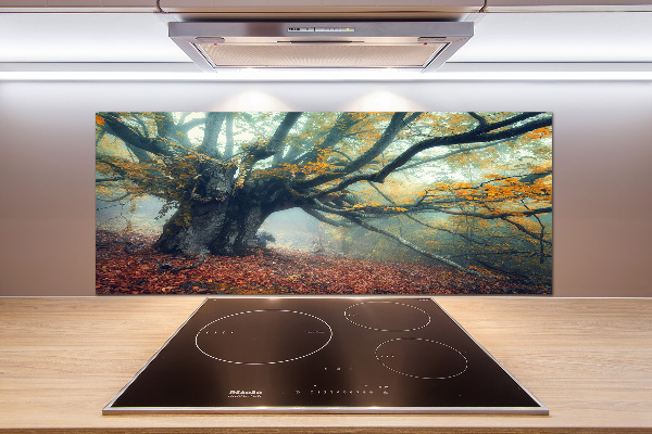 Verre pour crédence Vieil arbre