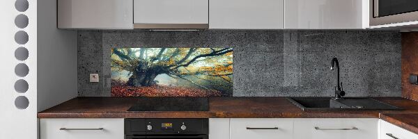 Verre pour crédence Vieil arbre