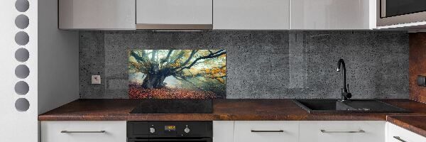 Verre pour crédence Vieil arbre
