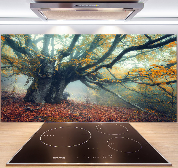 Verre pour crédence Vieil arbre