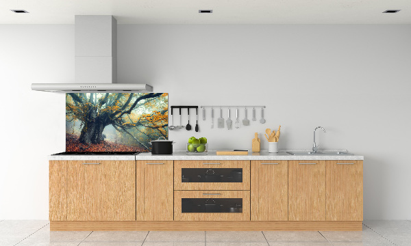 Verre pour crédence Vieil arbre