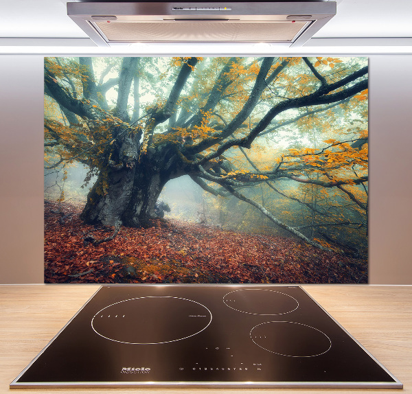 Verre pour crédence Vieil arbre