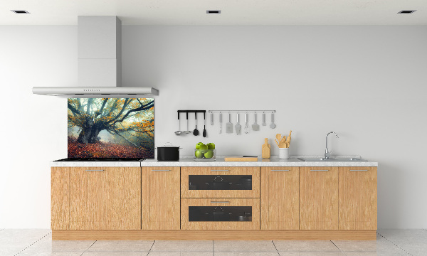 Verre pour crédence Vieil arbre
