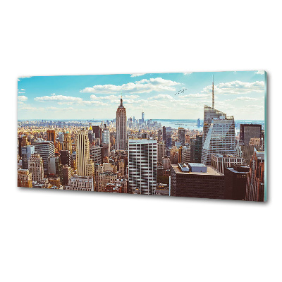 Crédence en verre Vol d'oiseaux à New York