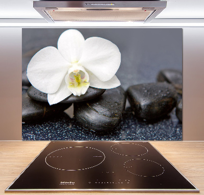 Crédence de cuisine en verre Orchidée