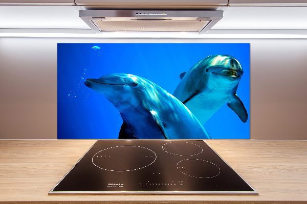 Crédence de cuisine en verre Deux dauphins