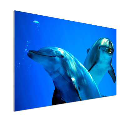 Crédence de cuisine en verre Deux dauphins