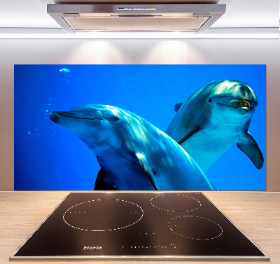 Crédence de cuisine en verre Deux dauphins