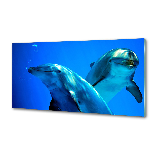 Crédence de cuisine en verre Deux dauphins